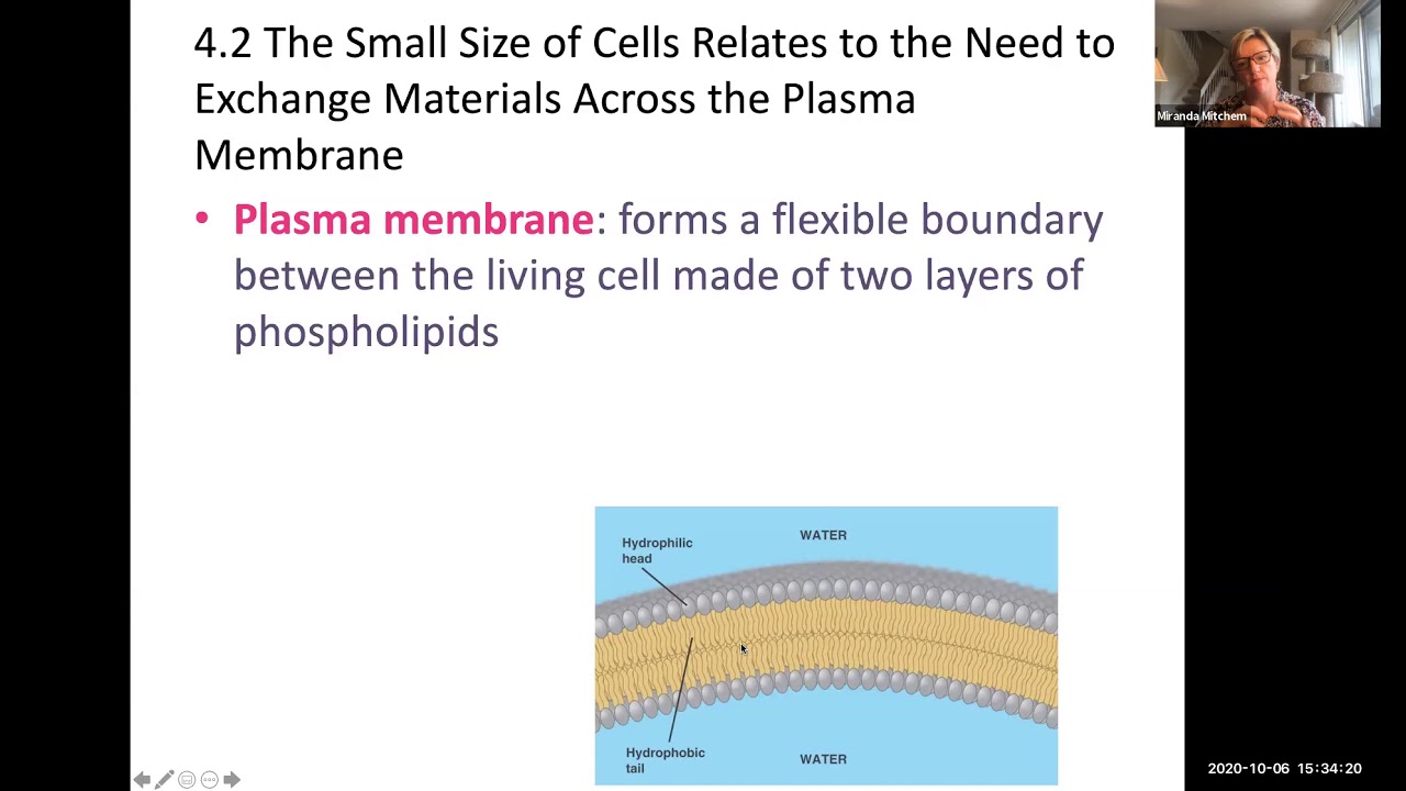 Biology - MOD 7 Lecture