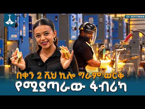 በኢትዮጵያ በይፋ ሥራ የጀመረው ብሔራዊ የከበሩ ማዕድናት ማጣሪያ ፋብሪካ በቀን እስከ 2 ሺህ ኪሎ ግራም ወርቅ የማጣራት ግዙፍ አቅም አለው!