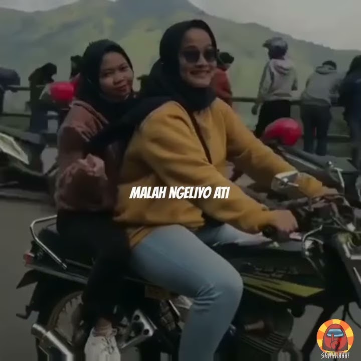 IKI TELO...subrek oe