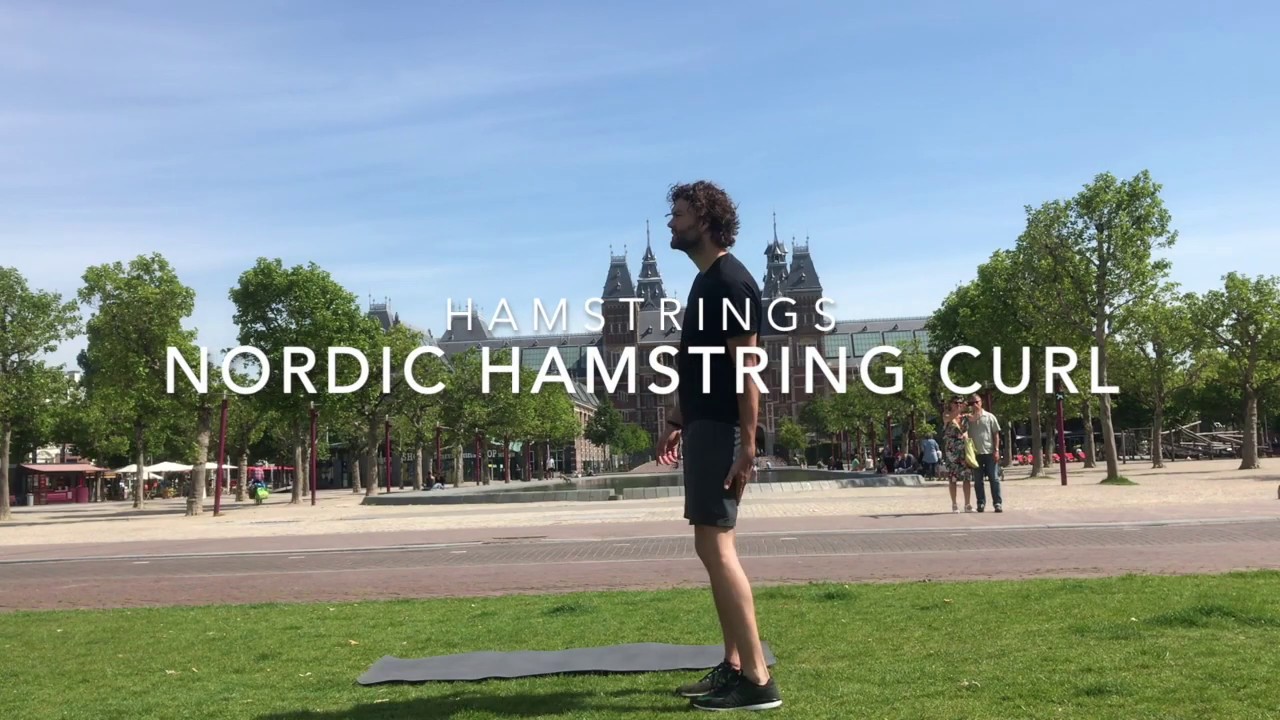 nordic hamstring curl nordic hamstring curl
