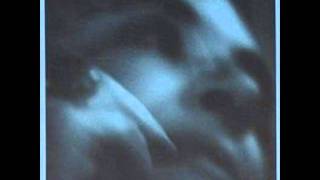 Black Cat Music - Wine in a Box