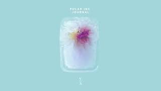 Polar Inc. - Journal