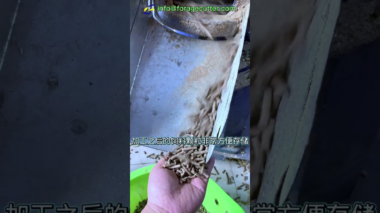 Bio Fuels Granule Cron Straw Flour Pellet Processing Machine