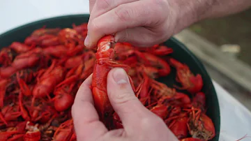 How long is crawfish good for after cooked?