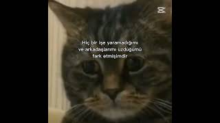 Üzdüğüm Herkese Ozur