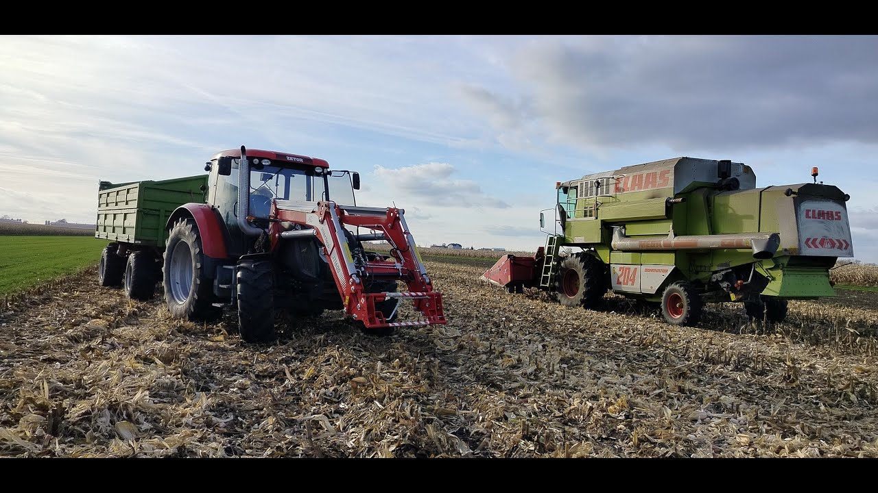 Żniwa kukurydziane. Mokro. Claas i zetor w akcji.
