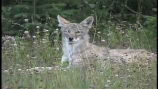 Utah Valley Outdoor Adventures
