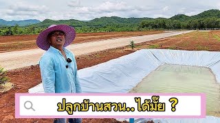 #ขายที่ดินปลูกบ้านราคาถูกมาก 🌾🌾🌾 น้ำไฟครบ วิวหุบเขา ด่านช้าง สุพรรณบุรี ของแถมมากมาย