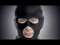 Путин и теракты (взрыв высоток, Норд-Ост). Методы ФСБ