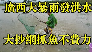 广西大暴雨导致水位上涨阿琪扛得大抄网去捞鱼收获满满真棒【农村阿琪】