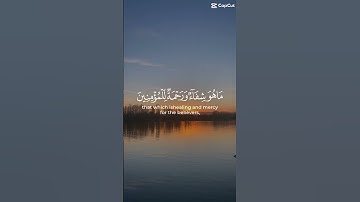 اللهم اجعل القران الكريم شفيعاً لنا يوم القيامة🤲