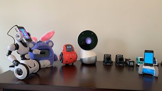 Jibo and Friends - Saturday Livestream (Can't Go That Way)