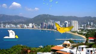 Video thumbnail of "Luz Verde de Acapulco,. Las Amarillas🕊"