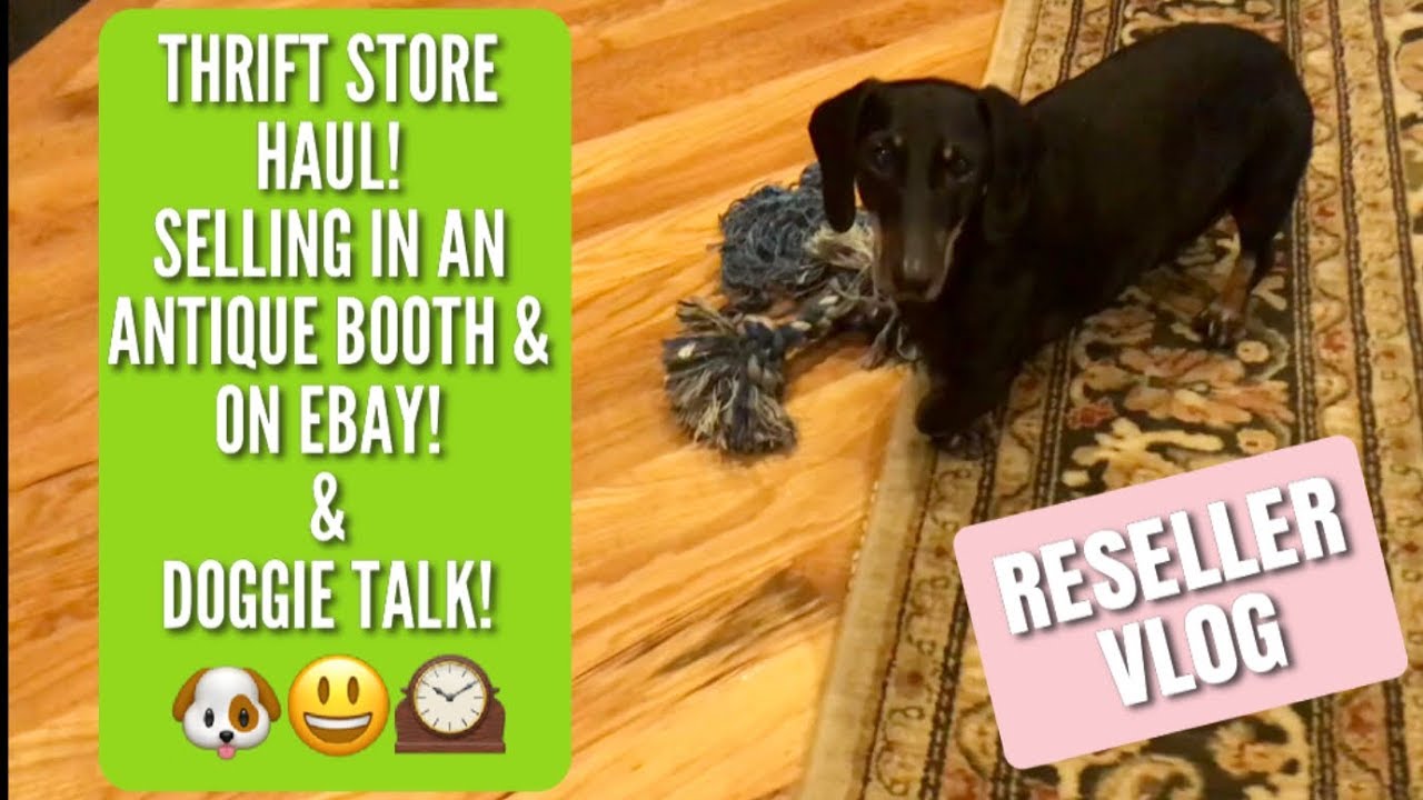 Thrift Store Haul  For My Antique Booth & Ebay | Reseller Vlog | Dog Talk