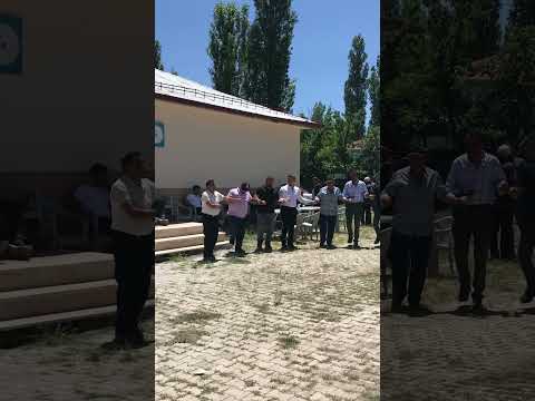 #shorts #short #shortvideo