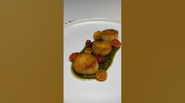 Scallops