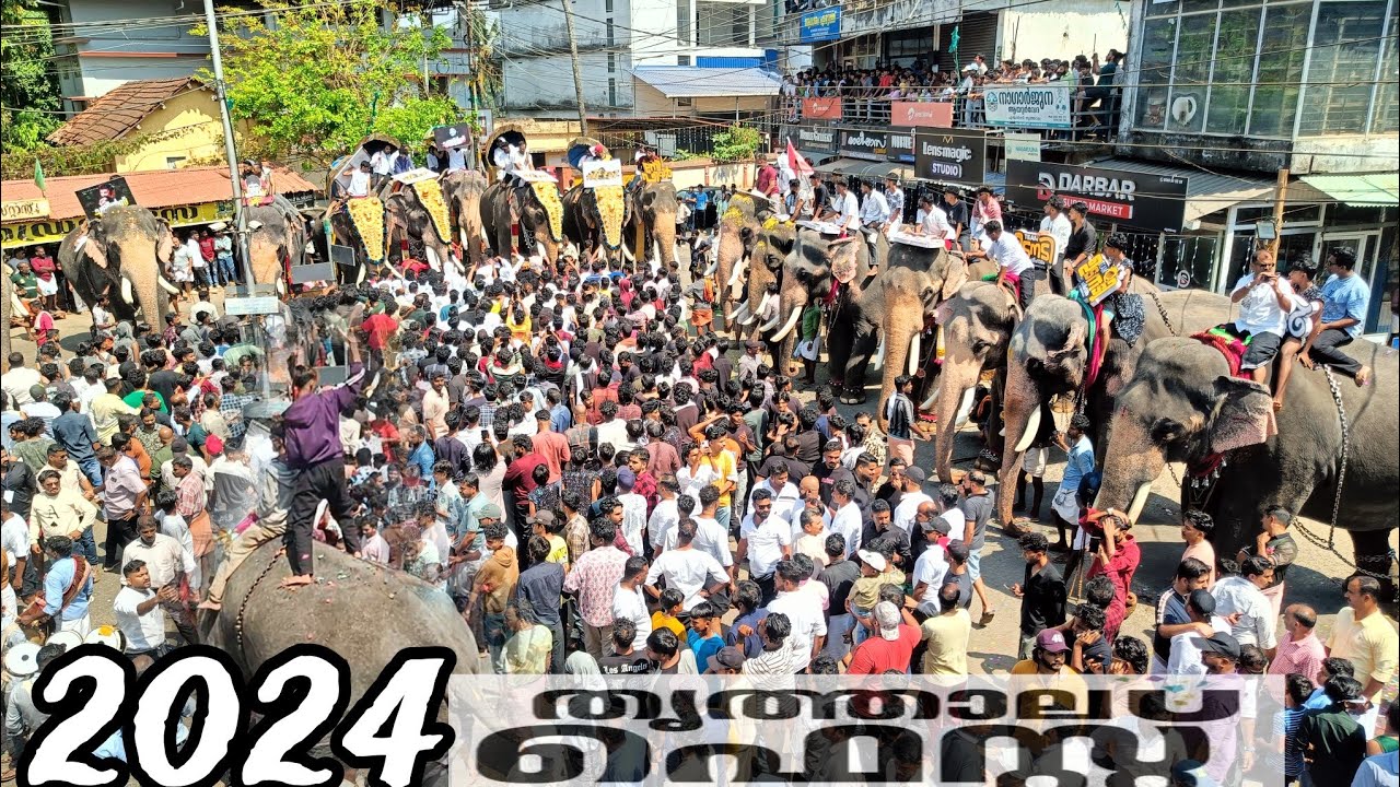 Thrithala nercha fest 2024 തൃത്താല നേർച്ച fest ആനകളുടെ സംഗമം തൃത്താല സെൻട്രൽ