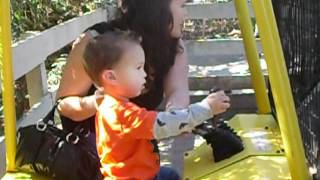 Bubba 2.5 years old driving the tractor at the pumpkin patch.AVI