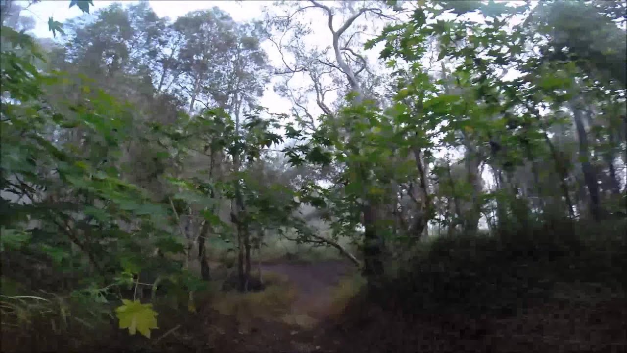Trail run at Long Island Reserve