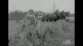 Harvest in Fairbanks, Alaska, 1920s @alaskafilmarchives