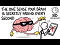 This Sense Tricks Your Brain!