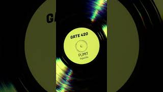 GATE 420 - New Single out now! #Techno #RetroSynth #ElectronicMusic #AnalogSynth #UndergroundTechno