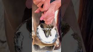 This Farrier Just Changed Everything for This Horse #shorts