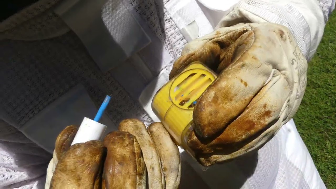 S05E23 | Je fais le tour des cas particuliers. Ça pourrait être pire