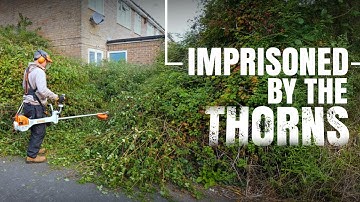 She Couldn’t Leave Her House Because of This Garden