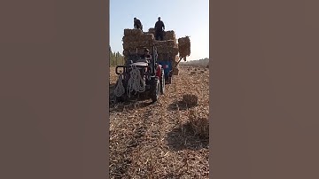 Wheat straw bale lifting machine//#wheat straw bale lifting machine ,#machine,#agriculture,#farming,
