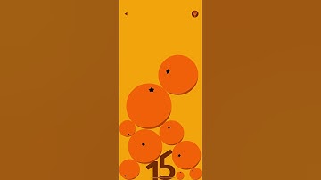 Bart Bonte Orange Levels 14 15 & 16