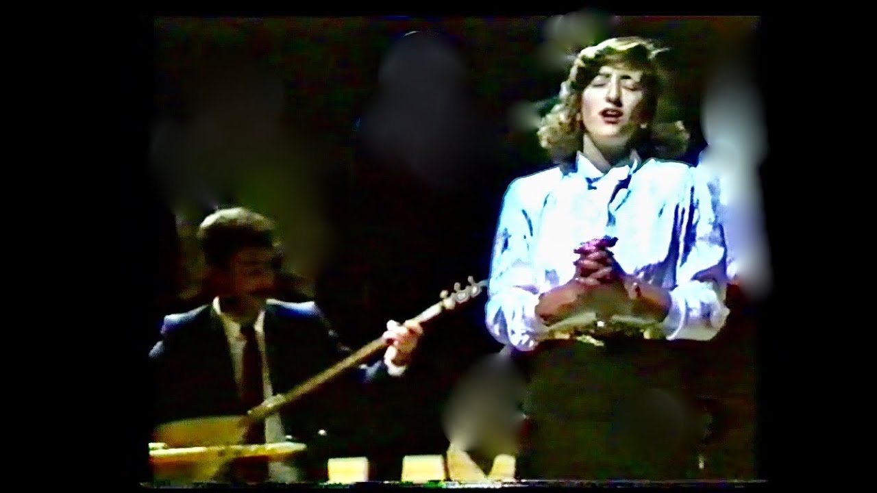 GİDEREM VAN'a DOĞRU  (U. H.) - Aysun GÜLTEKİN - Metin GÜLEBENZER