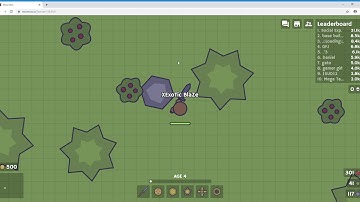 I was playing moomoo.io and then die to this hacker or a pro {RAGE QUIT}