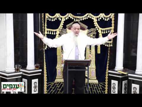 נתניה 29.01.20 - הרב יגאל כהן - שידור חי HD - תרצה ותצליח!