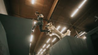 Dog Parkour | Parkour, But With a Dog