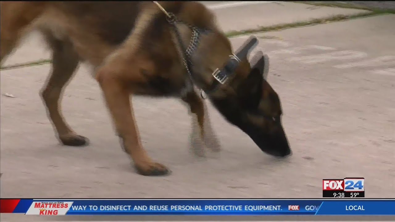 Fort Smith Police Department expands K-9 unit