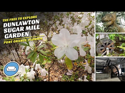 Exploring the Different Sides of Dunlawton Sugar Mill Gardens| Port Orange, Fl