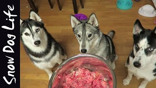 What feeding raw to my huskies look like! Net Worth