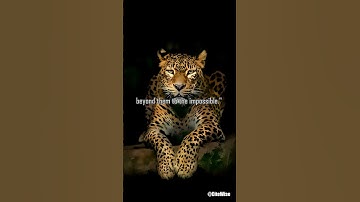 "The only way to find the limits of the possible is by going beyond them to the impossible."   "T...