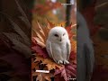 Cute baby owl,my new creation #owl #birds #kawaii #animation #ai #cute #birds #autumn #fall