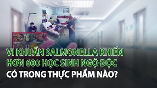 Vi khuẩn Salmonella khiến hơn 600 Học Sinh ngộ độc có trong Thực Phẩm nào?| VTC14