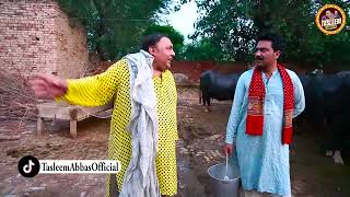 Tasleem Abbas New Village Comedy Show Falak Sher Tasleem Abbas Official Ranaijazofficial55