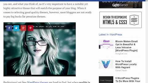 How To Install WordPress themes in Urdu hindi