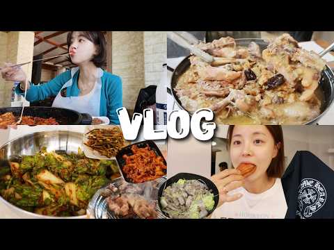 [먹방vlog] 유행 따라가고 싶은 그냥 무생채에 진심인 사람 _ 봄동비빔밥+철판닭갈비+버터떡+뒷고기+서프라이즈 선물+토종백숙+홍천여행 thumbnail