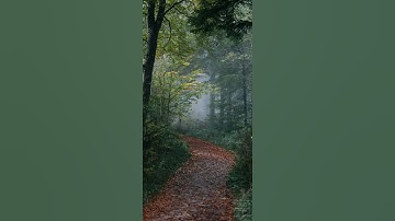 سورة العصر          ( القارئ  مالك شيبة الحمد )        Surat  Al-Asr  ...... Malik  Shayibat Alhamd