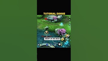 ✅ Diggie Tutorial by Renyaaa