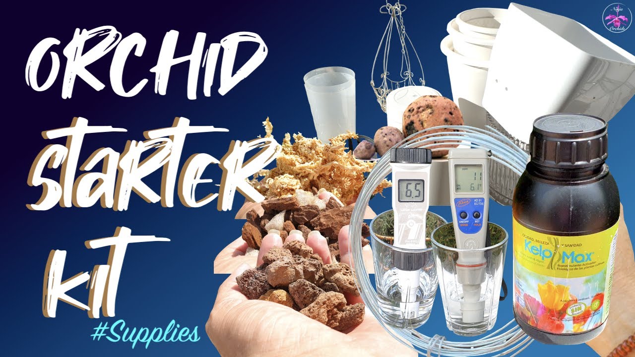 You WILL NEED most of this! | MUST WATCH! BEFORE bringing your first orchid home. 