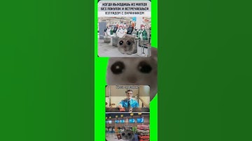 memes with hamster #meme #sadhamstermemes #memes #funny #funnymemes #mems