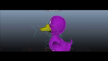 Duck baby rigged 3d model overview