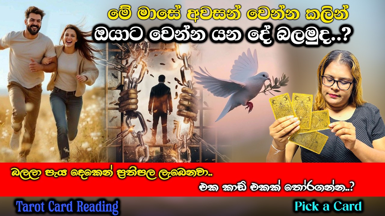 මේ මාසේ අවසන් වෙන්න කලින් ඔයාට වෙන්න යන දේ බලමුද.?| What Happens to You Before the End of This Month